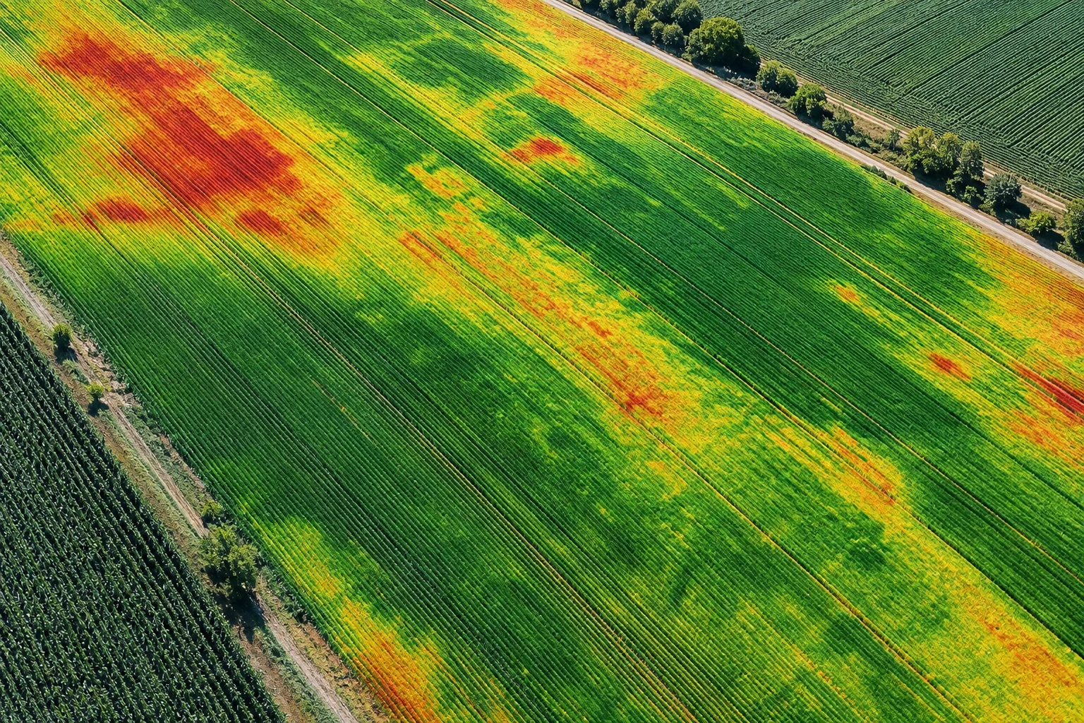 Termografia e vista dall'alto per agricoltura, stress idrico e irrigazione