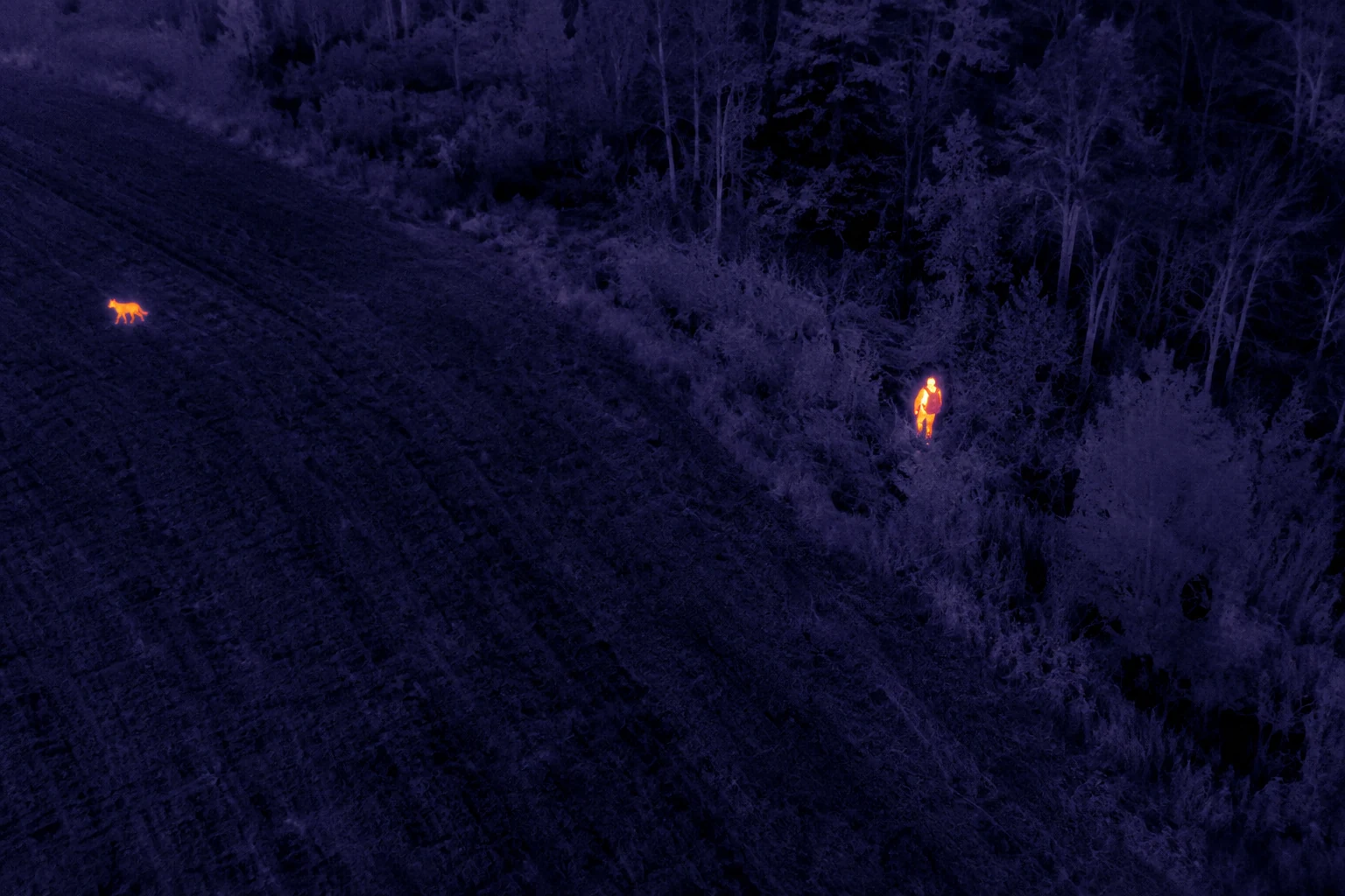 Ricerca termica con drone per animali smarriti e supporto operativo